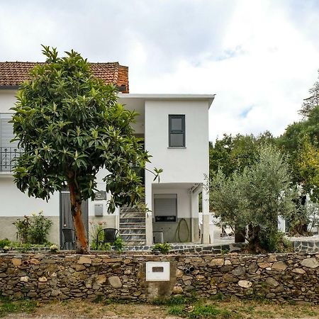 Góis Casa Do Ferreiro 빌라 외부 사진