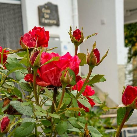 Góis Casa Do Ferreiro 빌라 외부 사진
