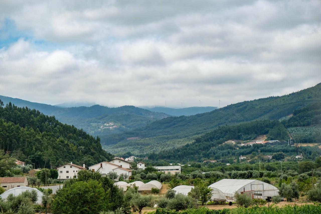 Góis Casa Do Ferreiro 빌라 외부 사진