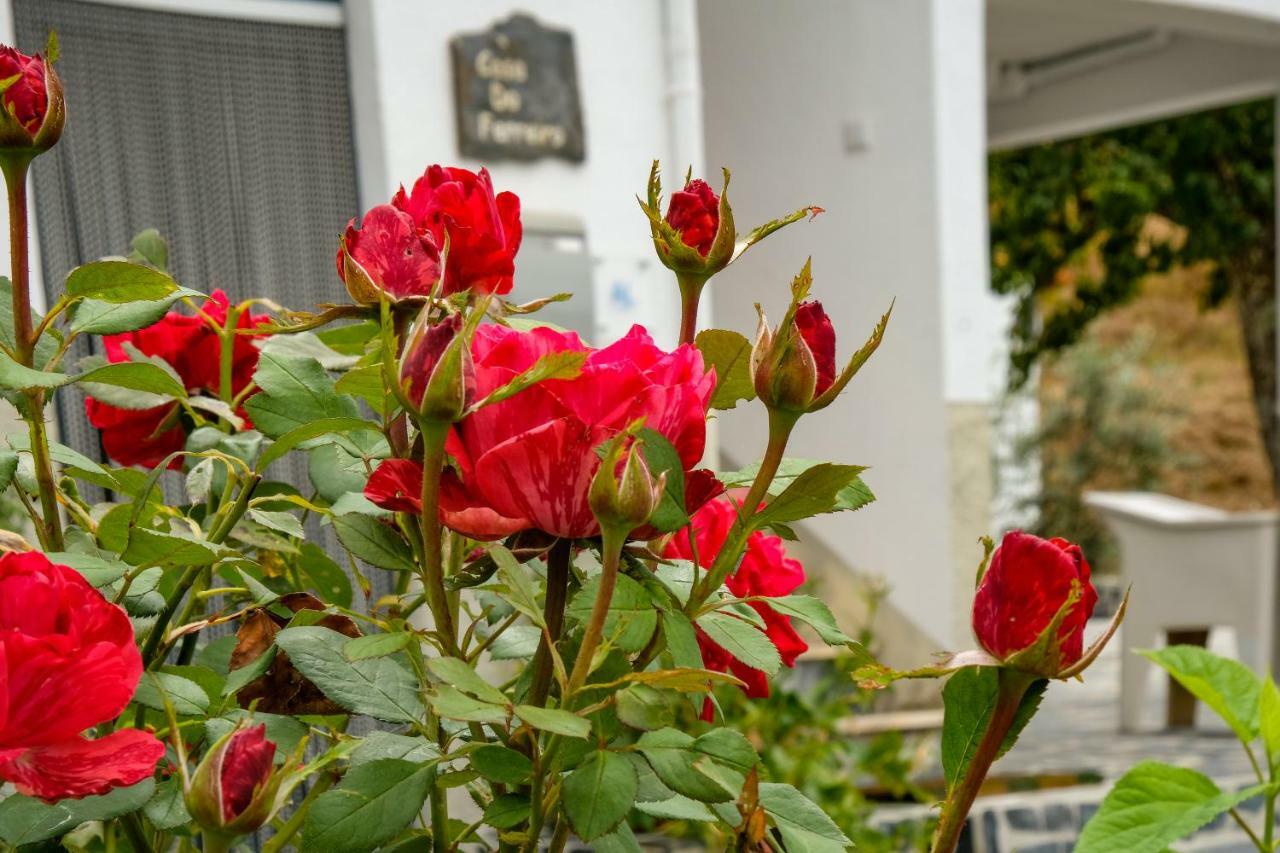 Góis Casa Do Ferreiro 빌라 외부 사진